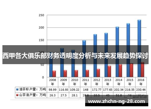 西甲各大俱乐部财务透明度分析与未来发展趋势探讨