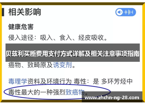 贝兹利买断费用支付方式详解及相关注意事项指南