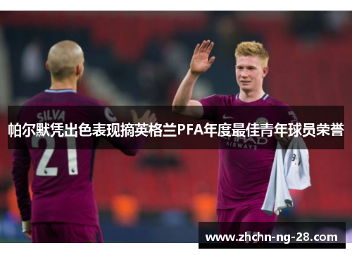 帕尔默凭出色表现摘英格兰PFA年度最佳青年球员荣誉