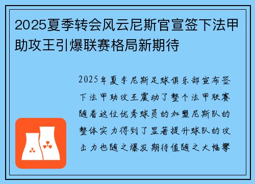 2025夏季转会风云尼斯官宣签下法甲助攻王引爆联赛格局新期待